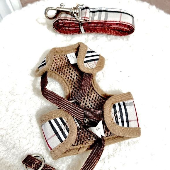 HOSTย PICK!โโจโจโจ๐๐๐๐๐๏ธ๐๏ธ๐๏ธ - Picture 3 of 5